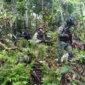 Dok: Pasukan TNI melakukan pengamanan di wilayah Maybrat Papua Barat Daya pasca baku tembak dengan KKB yang menewaskan dua prajurit TNI AL. (Posnews/TNI)