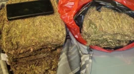 Petugas Ditresnarkoba Polda Metro Jaya menunjukkan barang bukti ganja seberat 4,3 kilogram yang disita dari seorang pengedar di Depok. (Posnews/Ist)