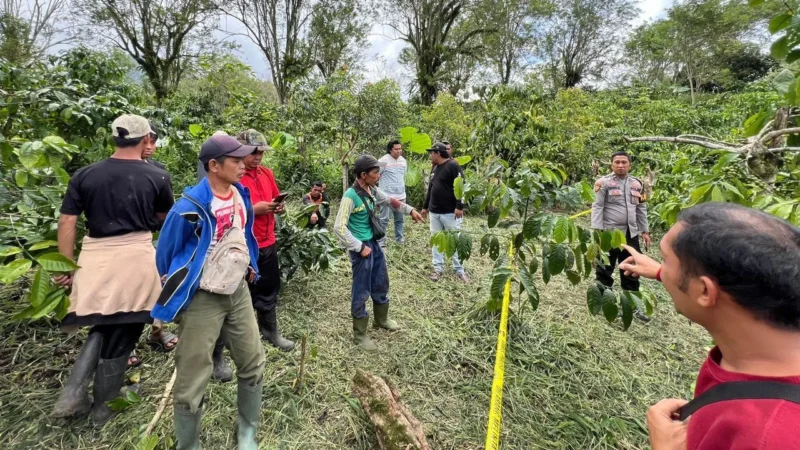 Petugas kepolisian melakukan olah TKP di kebun kopi lokasi penemuan jasad pemuda di Lampung Barat. (red)