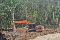 Polisi Polda Lampung mengamankan ekskavator dan mesin tambang saat menggerebek tambang emas ilegal di Way Kanan. (Posnews/Ist)