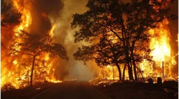 Ilustrasi, kebakaran hutan. (Posnews/BPBD)