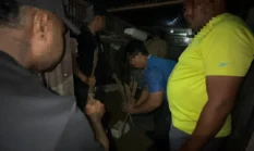 Satgas Bongkar Jaringan Amunisi Ilegal di Papua, 4 Tersangka Diciduk – Senjata Disita