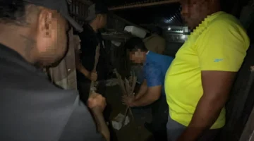 Petugas Satgas Damai Cartenz menunjukkan barang bukti senjata api rakitan hasil pengungkapan kasus di Papua. (Posnews/Ist)