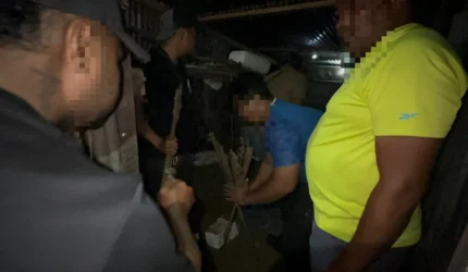 Satgas Bongkar Jaringan Amunisi Ilegal di Papua, 4 Tersangka Diciduk – Senjata Disita