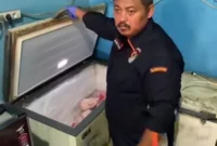Satpam Dibunuh dan Dimutilasi, Jasad Disimpan di Freezer Bekasi. (Posnews/Ist)