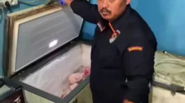 Satpam Dibunuh dan Dimutilasi, Jasad Disimpan di Freezer Bekasi. (Posnews/Ist)