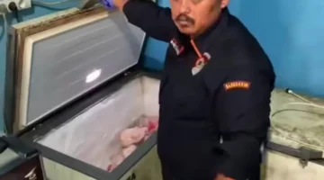 Satpam Dibunuh dan Dimutilasi, Jasad Disimpan di Freezer Bekasi. (Posnews/Ist)