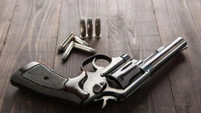 Ilustrasi, senjata api jenis revolver. (Ist)