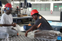Pantai Gading bersiap mengoptimalkan statusnya sebagai produsen karet terbesar di Afrika melalui kebijakan tarif nol persen Tiongkok. Dok: Istimewa.