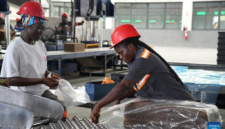 Pantai Gading bersiap mengoptimalkan statusnya sebagai produsen karet terbesar di Afrika melalui kebijakan tarif nol persen Tiongkok. Dok: Istimewa.