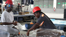 Pantai Gading bersiap mengoptimalkan statusnya sebagai produsen karet terbesar di Afrika melalui kebijakan tarif nol persen Tiongkok. Dok: Istimewa.