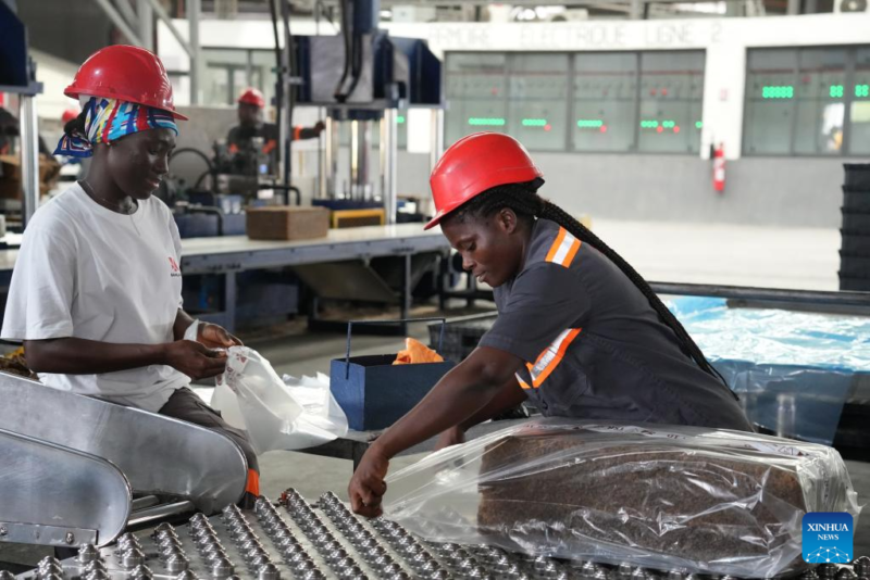 Pantai Gading bersiap mengoptimalkan statusnya sebagai produsen karet terbesar di Afrika melalui kebijakan tarif nol persen Tiongkok. Dok: Istimewa.