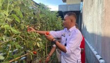 Hari Bakti Pemasyarakatan ke-62, Lapas Jadi Sentra Pangan Nasional. (Posnews/Ist)