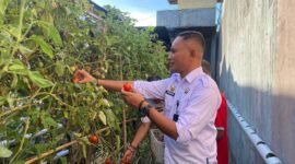 Hari Bakti Pemasyarakatan ke-62, Lapas Jadi Sentra Pangan Nasional. (Posnews/Ist)