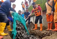 MUI Ingatkan Pemprov DKI. Basmi Hama Boleh, Tapi Jangan Menyiksa. (Posnews/RRI)