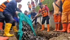 MUI Ingatkan Pemprov DKI. Basmi Hama Boleh, Tapi Jangan Menyiksa. (Posnews/RRI)