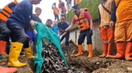 MUI Ingatkan Pemprov DKI. Basmi Hama Boleh, Tapi Jangan Menyiksa. (Posnews/RRI)