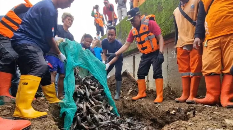 MUI Ingatkan Pemprov DKI. Basmi Hama Boleh, Tapi Jangan Menyiksa. (Posnews/RRI)