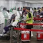 Petugas Imigrasi memeriksa dokumen calon jamaah haji di bandara setelah ditemukan penggunaan visa nonhaji sehingga keberangkatan ditunda. (Posnews/Net)