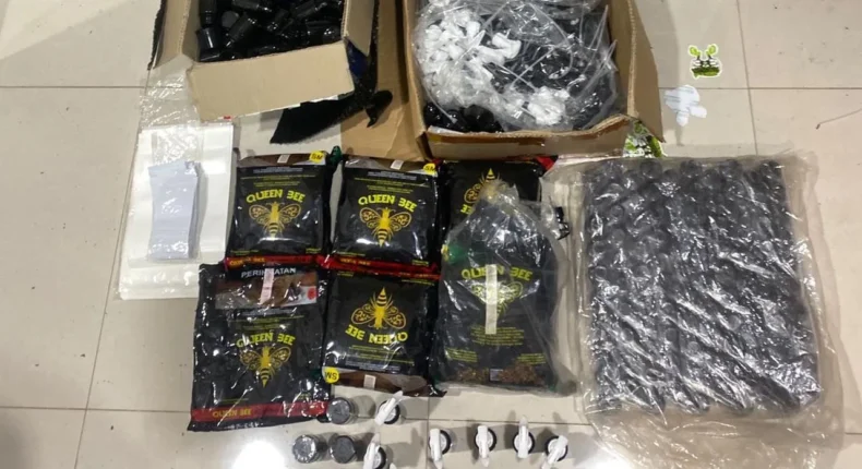 foto slider headline