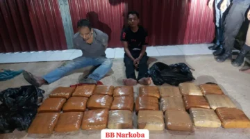 Polisi menunjukkan barang bukti 24 paket ganja seberat 23 kilogram hasil pengungkapan kasus narkoba di Rokan Hulu Riau. (Posnews/Ist)