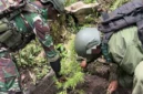 Aparat menemukan ladang ganja di Pegunungan Bintang Papua. (Posnews/Ist)