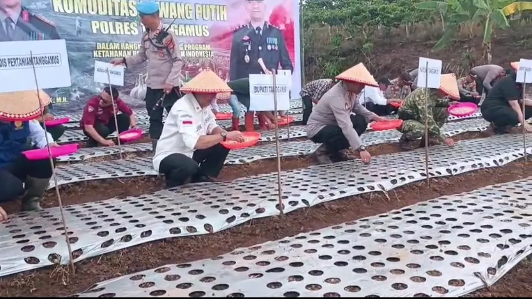 Ketahanan Pangan Digenjot, Polres Tanggamus Turun Langsung Tanam Bawang Putih