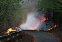 Ancaman api di musim dingin. Kebakaran hutan hebat melanda Prefektur Iwate, Jepang, menghanguskan ratusan hektar lahan. Dok: Istimewa.