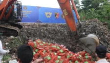 Aparat gabungan memusnahkan ribuan kilogram bawang impor ilegal asal Malaysia hasil sitaan penyelundupan di Kalimantan Barat. (Posnews/Ist)