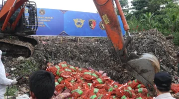 Aparat gabungan memusnahkan ribuan kilogram bawang impor ilegal asal Malaysia hasil sitaan penyelundupan di Kalimantan Barat. (Posnews/Ist)