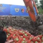 Aparat gabungan memusnahkan ribuan kilogram bawang impor ilegal asal Malaysia hasil sitaan penyelundupan di Kalimantan Barat. (Posnews/Ist)