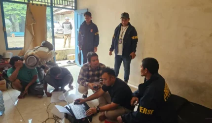 Tim gabungan Bareskrim Polri dan Ditjen Gakkum Kementerian Kehutanan menunjukkan 11 ekor ular sanca hijau Papua yang disita dari sebuah gudang di Kota Bekasi dalam kasus dugaan perdagangan satwa liar dilindungi.