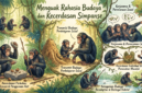 Illustrasi Simpanse