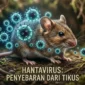 Hantavirus Mengintai Jakarta, Dinkes Minta Warga Tetap Waspada. (Posnews/Net)