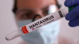 Ilustrasi, petugas kesehatan melakukan pemeriksaan terkait dugaan kasus hantavirus di Kulon Progo, Yogyakarta. (Posnews/Net)
