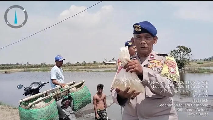 Petugas Polairud Polda Metro Jaya menebar 10 ribu bibit ikan bandeng di kawasan pesisir Desa Pantai Harapan Jaya, Muaragembong, Kabupaten Bekasi untuk mendukung program ketahanan pangan. (Posnews/Ist)