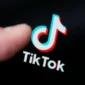 Live Streaming Erotis di TikTok dan Instagram, RC dan PA Diciduk Polisi. (Popsnews/textcrunch)
