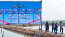 Direktur Polairud Polda Metro Jaya Kombes Pol Mustofa bersama warga menebar 300 ribu benih udang windu di tambak kawasan Muaragembong, Kabupaten Bekasi, untuk mendukung ketahanan pangan dan ekonomi pesisir. (Posnews/Ist)