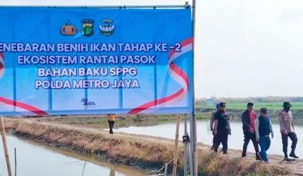 Polairud Polda Metro Kembangkan Tambak Pesisir Bekasi, 300 Ribu Benih Udang Ditebar