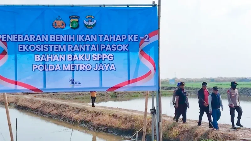 Direktur Polairud Polda Metro Jaya Kombes Pol Mustofa bersama warga menebar 300 ribu benih udang windu di tambak kawasan Muaragembong, Kabupaten Bekasi, untuk mendukung ketahanan pangan dan ekonomi pesisir. (Posnews/Ist)