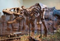 Membaca masa lalu untuk menyelamatkan masa depan. Proyek Paleobiology Database berupaya mendokumentasikan setiap fosil yang pernah ditemukan guna memahami apakah Bumi benar-benar sedang menuju kepunahan massal keenam. Dok: Istimewa.