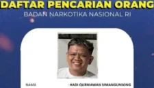 BNN Buru Bandar Narkoba Wawan di Labura, Diduga Kuasai 6 Lapak Sabu di Aek Kanopan. (Posnews/Ist)