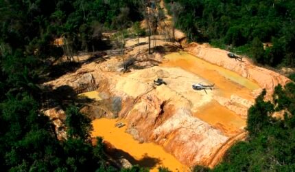 Lonjakan Harga Dunia Picu Kerusakan Hutan dan Krisis Merkuri