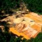 Tragedi di paru-paru dunia. Lonjakan harga emas memicu gelombang penambangan ilegal masif di hutan Amazon, Brasil, yang mengakibatkan deforestasi di wilayah lindung dan kontaminasi merkuri berbahaya bagi ribuan nyawa. Dok: (AP Photo/Edmar Barros, File)