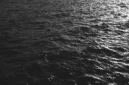 Ilustrasi, Air Laut Menghitam. (Posnews/Pixabay)