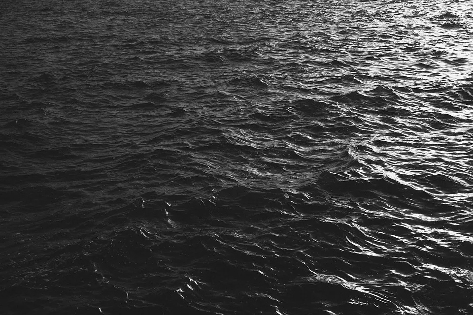 Ilustrasi, Air Laut Menghitam. (Posnews/Pixabay)