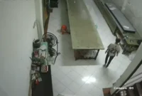 Rekaman CCTV Polisi Ungkap Pencurian Kain di Tambora, Pelaku Karyawan Sendiri. (Posnews/Ist)