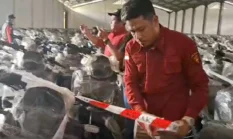 BGN Evaluasi Motor Listrik, Laptop hingga CCTV untuk Efisiensi Anggaran 2026