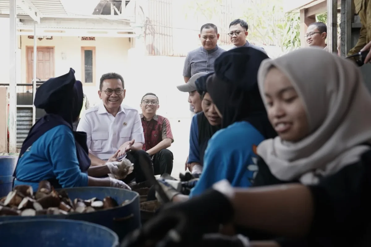 Menteri Perdagangan, Budi Santoso melihat berbagai produk olahan singkong di Kampung Singkong Salatiga, Jawa Tengah, yang berhasil menembus pasar ekspor ke Australia dan beberapa negara Asia. (Posnews/Ist)

