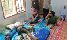 Petani Sumsel Diserang Beruang Saat Semprot Kebun, Polisi Turun Tangan